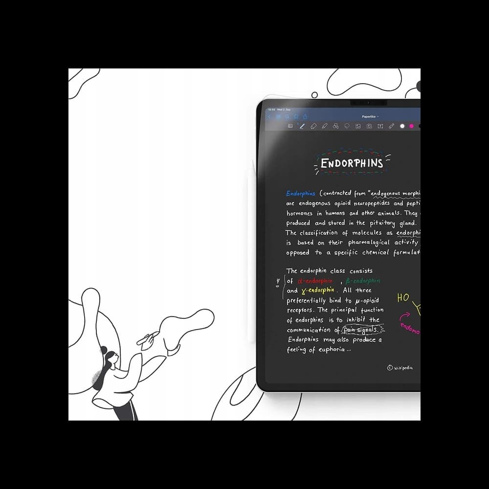 Paperlike Apple iPad Air 10.5 2019 3 Gen/iPad Pro 10.5 2017 2 Gen [2 PACK] - 7