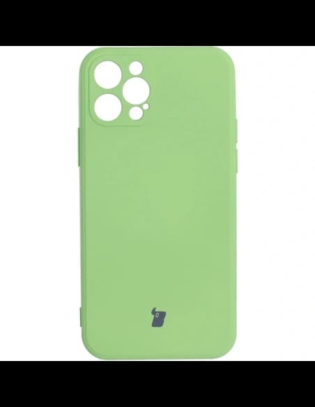Bizon Case Silikon Apple iPhone 12 Pro hellgrün