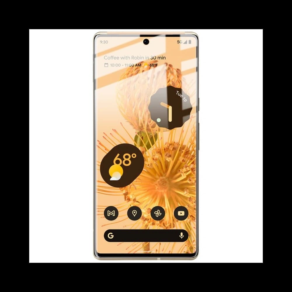 Folia hydrogelová na displej Bizon Glass Hydrogel Google Pixel 6 Pro [2 PACK] - 6