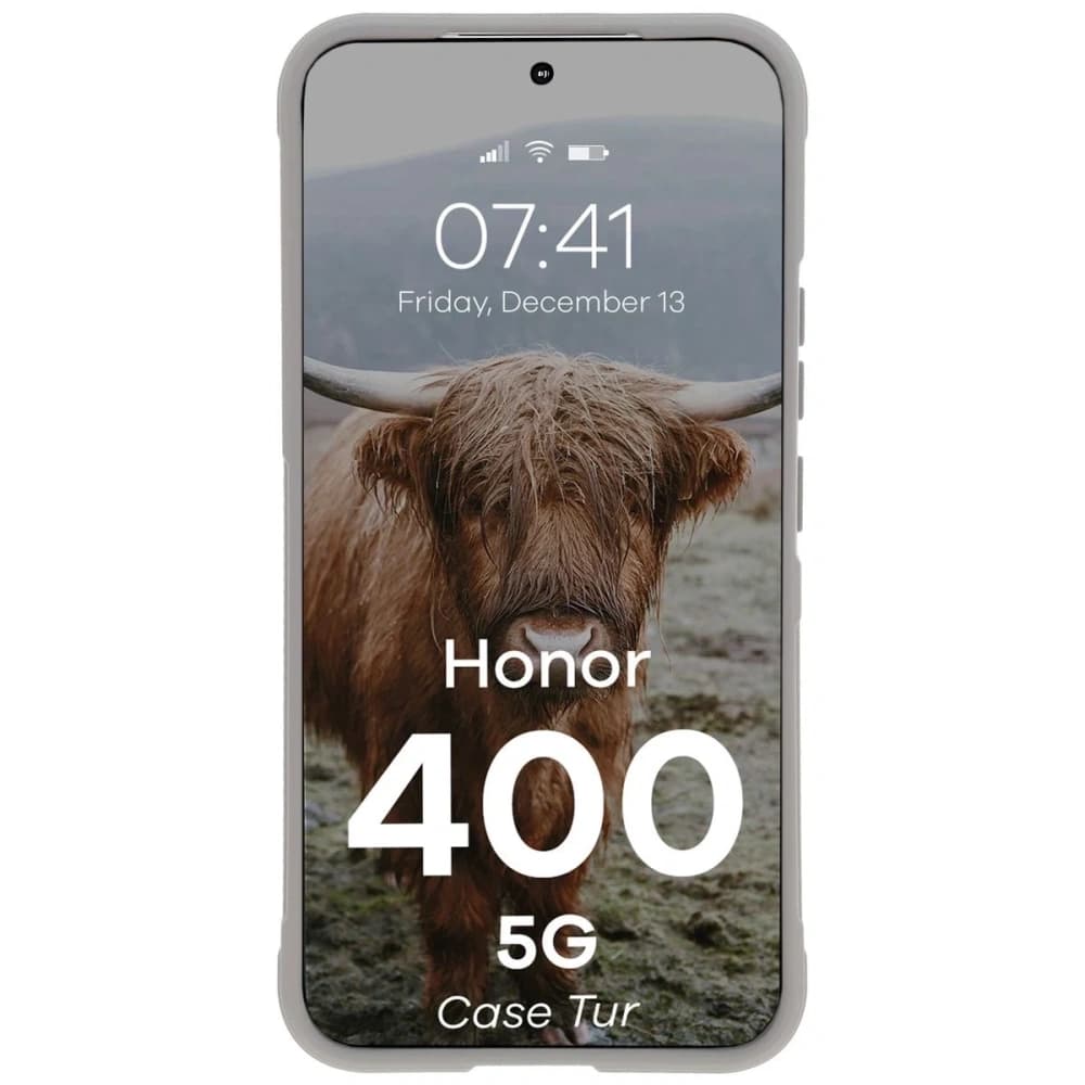 Bizon Case Tur Honor 400 5G hellgrau - 5