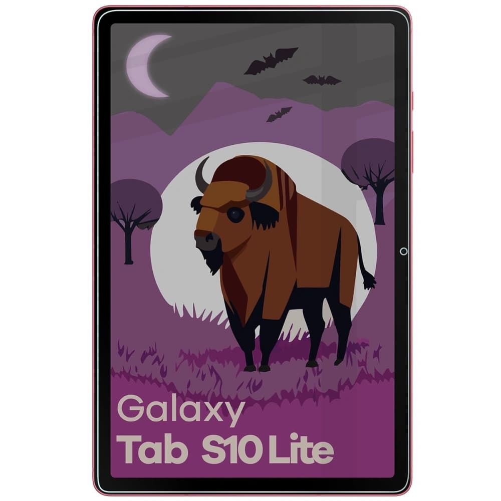 Bizon Glass Tab Mule Shadow Samsung Galaxy Tab S10 Lite matte - 3