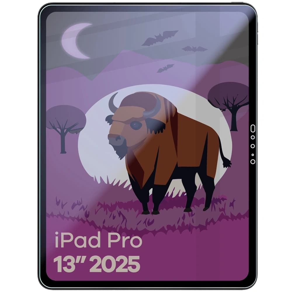 Bizon Glass Tab Mule Shadow Apple iPad Pro 13" M5 2025 matte - 3